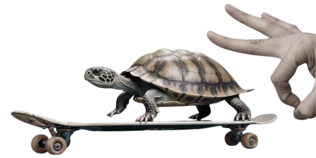 Eine Schildkröte steht auf einem Skateboard, während eine menschliche Hand in der Nähe eine Gehbewegung mit zwei ausgestreckten Fingern in Richtung der Schildkröte macht. Das ist eine spielerische Inspiration - perfekt für ein Haigerer Unternehmen, das kreative Webdesign-Ideen sucht.